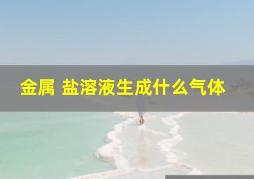 金属 盐溶液生成什么气体